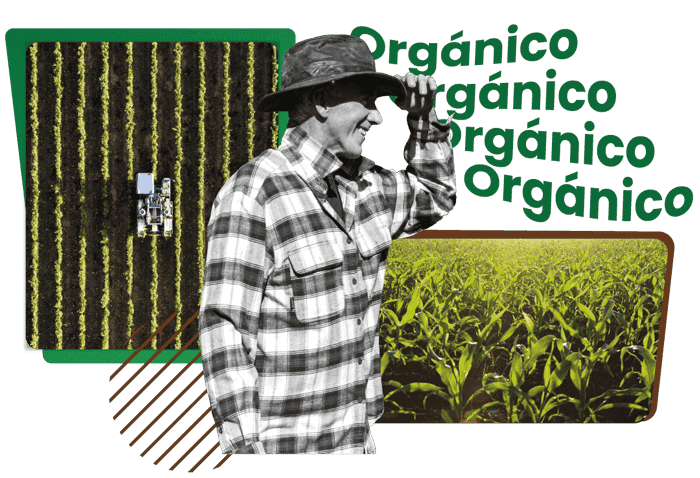 Porductos orgánicos de agricultura Cota - Bogotá
